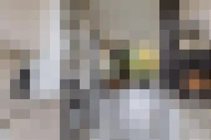 Walmolenerf 157 Gouda thumbnail 9