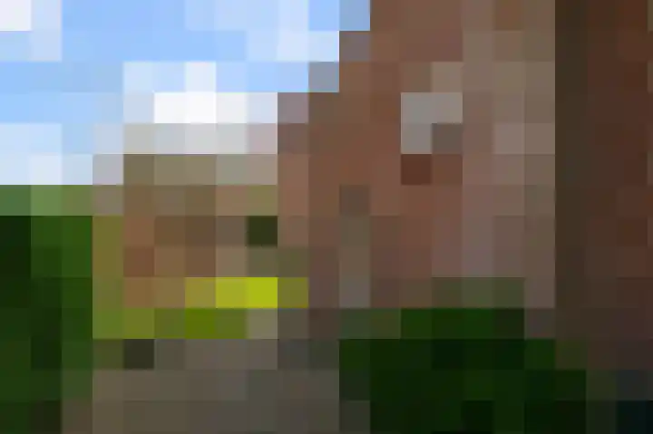 Walnootstraat 25 Ter Aar thumbnail 34