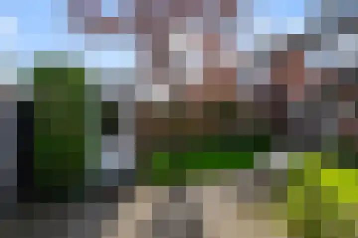 Walnootstraat 25 Ter Aar thumbnail 36