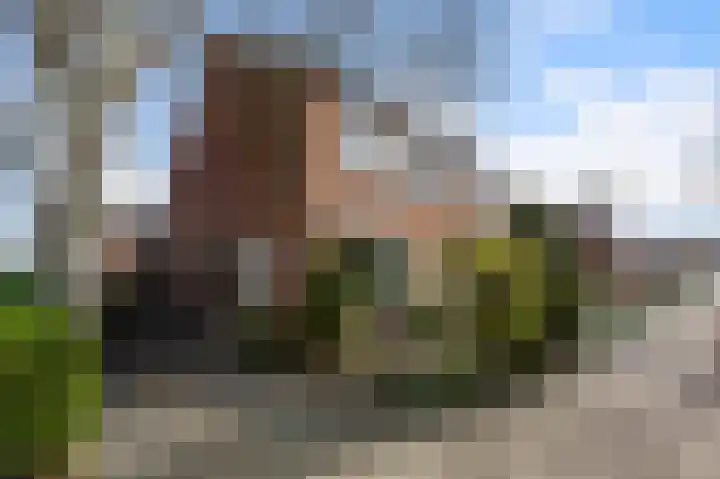 Walnootstraat 25 Ter Aar thumbnail 6