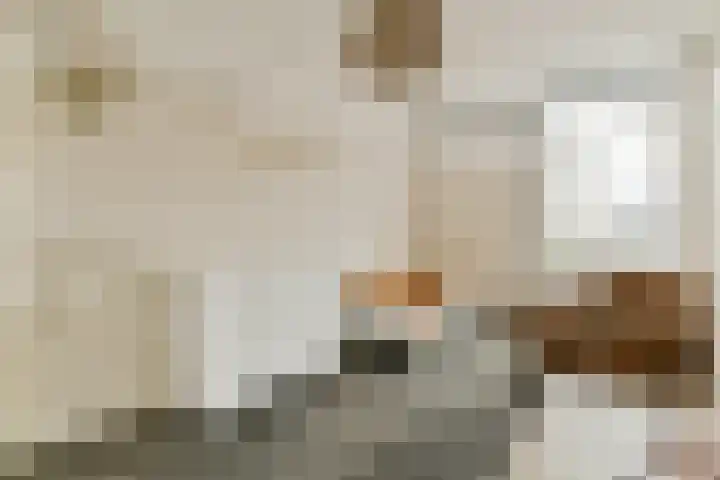 Wals 33 Zaandam thumbnail 21
