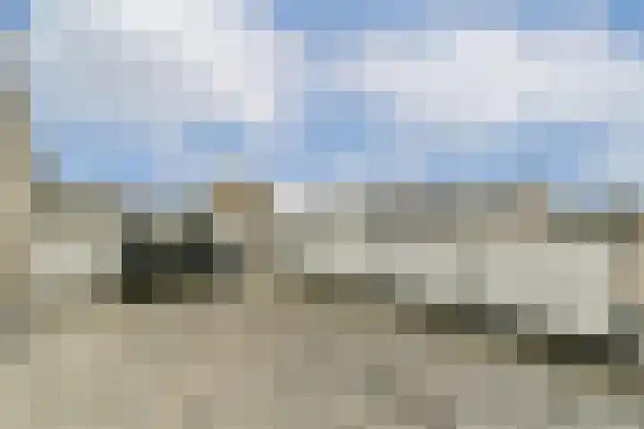 Wals 33 Zaandam thumbnail 26