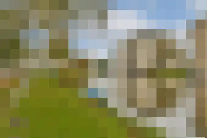 Wals 33 Zaandam thumbnail 32