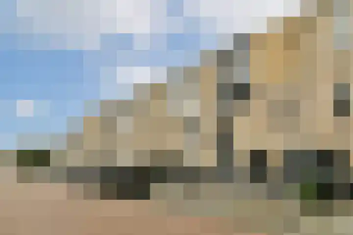Wals 33 Zaandam thumbnail 33