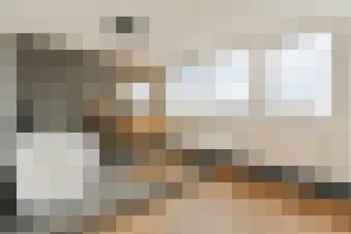 Wals 33 Zaandam thumbnail 4