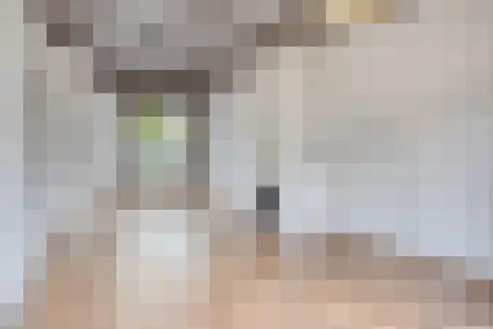 Walstraat 12 Sas van Gent thumbnail 5