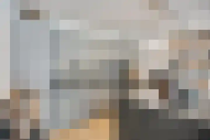 Walstraat 44 C Oss thumbnail 8
