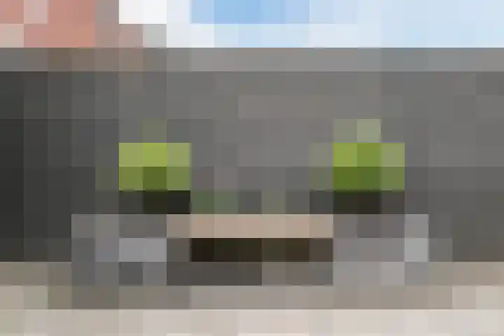 Walstraat 7 Echt thumbnail 18