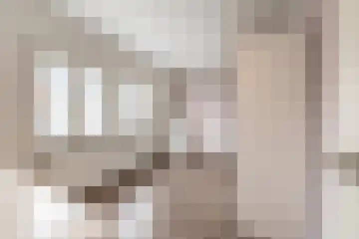Walstraat 7 Echt thumbnail 27