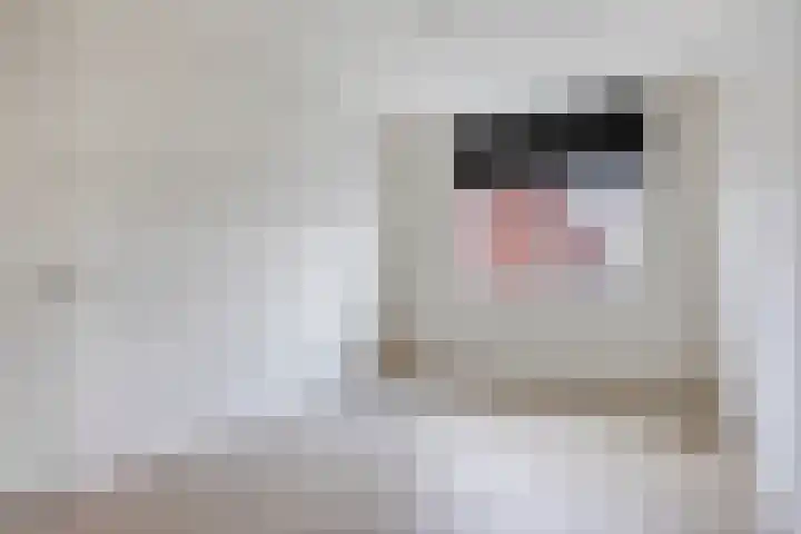 Walstro 18 Sittard thumbnail 19