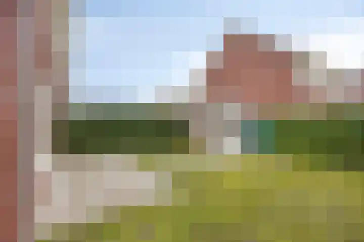 Walstro 18 Sittard thumbnail 29