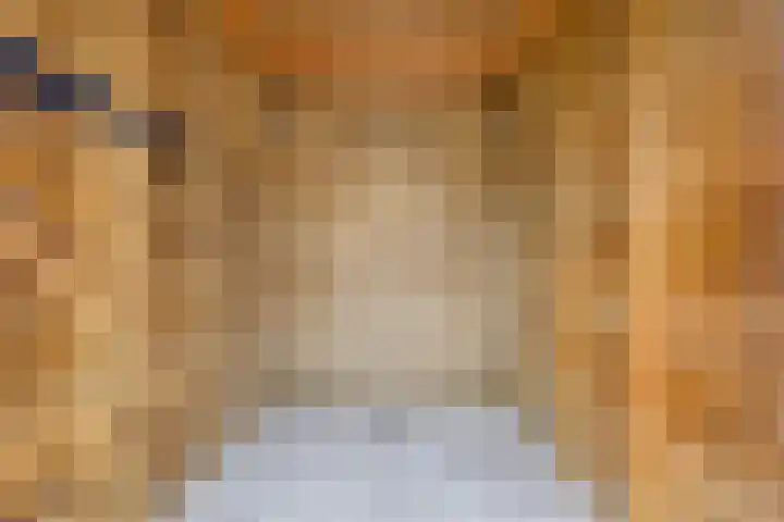 Walstro 18 Sittard thumbnail 31
