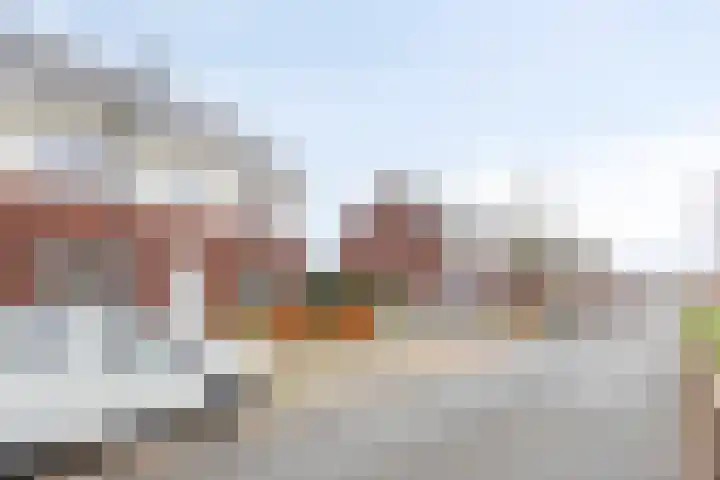 Walstro 18 Sittard thumbnail 33