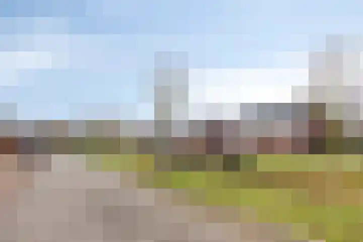 Walstro 18 Sittard thumbnail 35