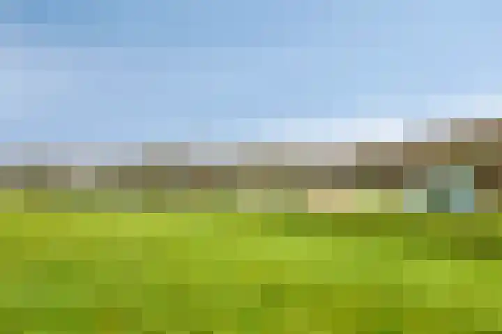 Walstro 18 Sittard thumbnail 37