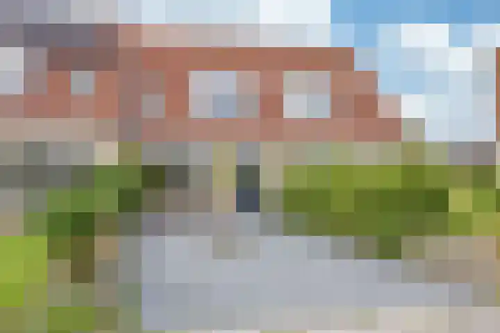 Walstro 20 Sneek