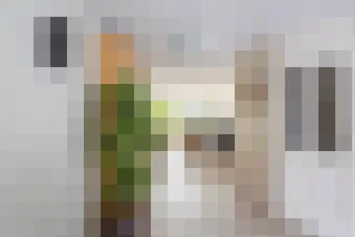 Walstro 23 Venray thumbnail 10