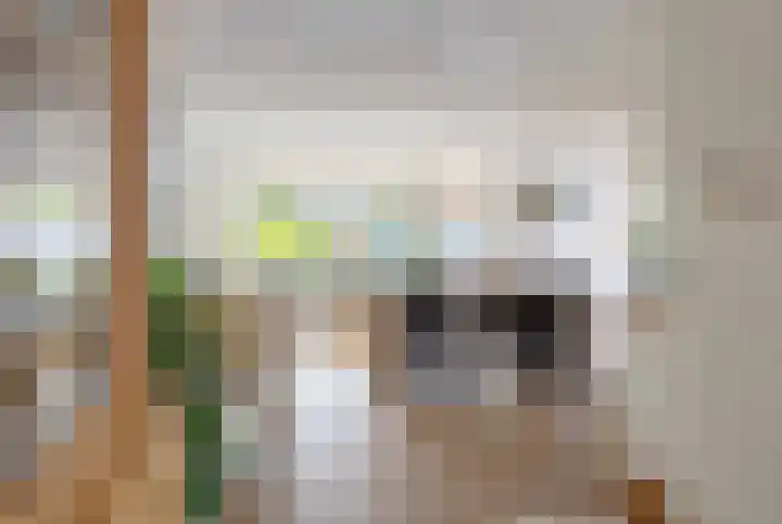 Walstro 23 Venray thumbnail 11