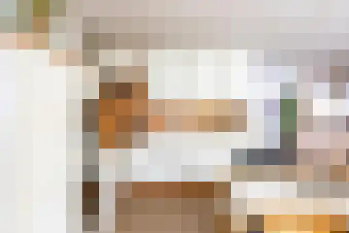 Walstro 23 Venray thumbnail 13