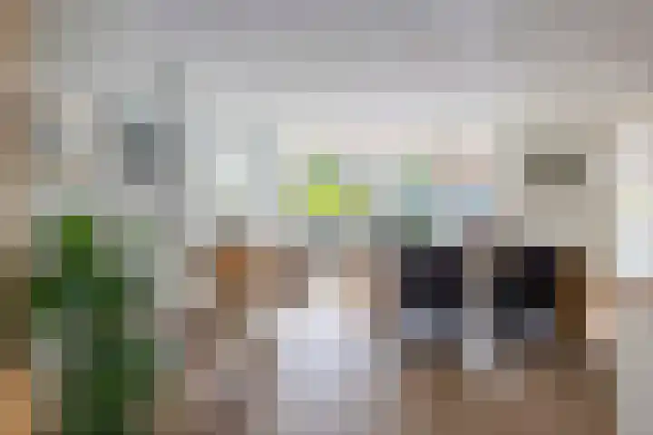 Walstro 23 Venray thumbnail 15