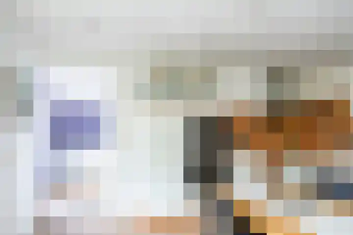 Walstro 23 Venray thumbnail 16