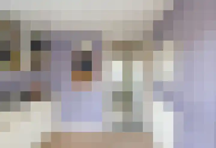 Walstro 23 Venray thumbnail 18