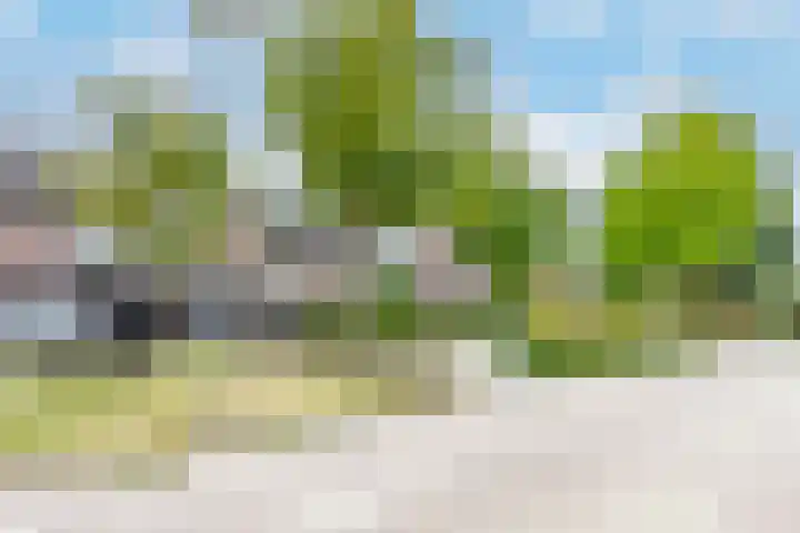 Walstro 23 Venray foto 2