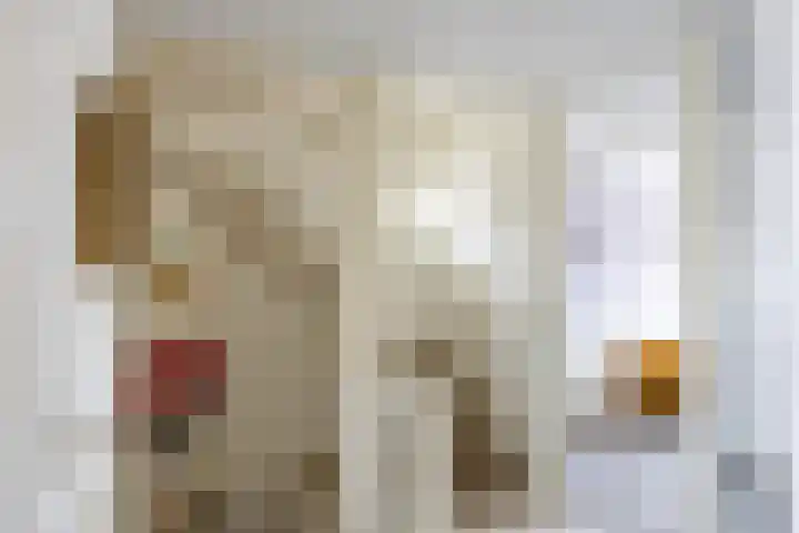 Walstro 23 Venray thumbnail 20