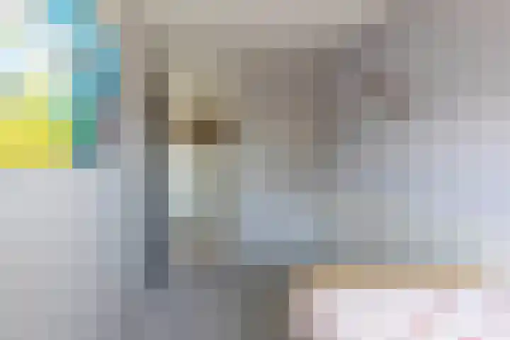 Walstro 23 Venray thumbnail 23