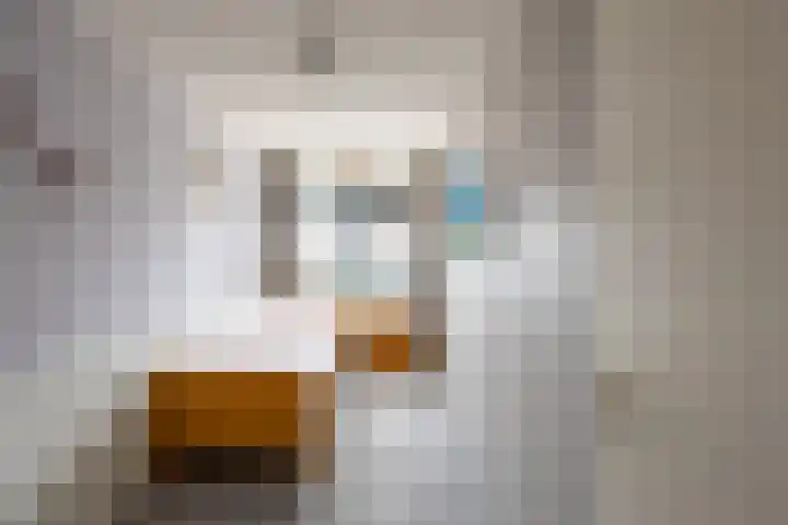 Walstro 23 Venray thumbnail 24