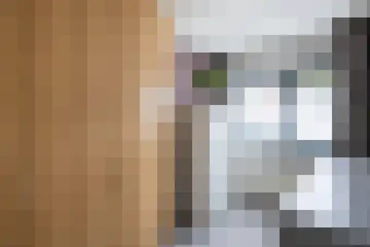 Walstro 23 Venray thumbnail 25