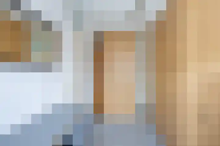 Walstro 23 Venray thumbnail 26