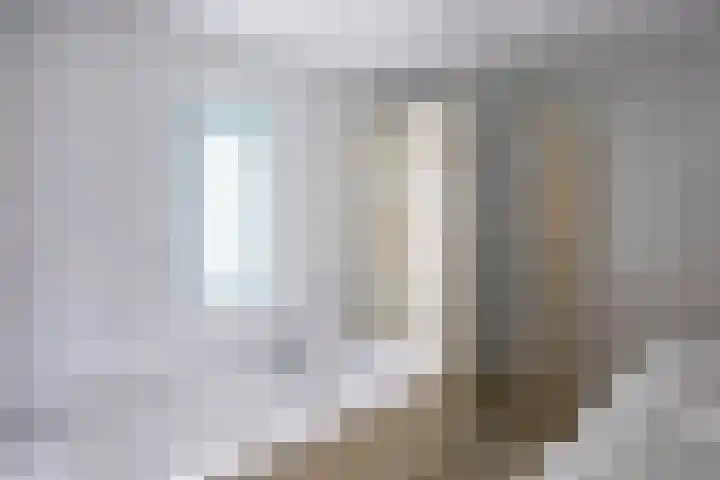 Walstro 23 Venray thumbnail 27