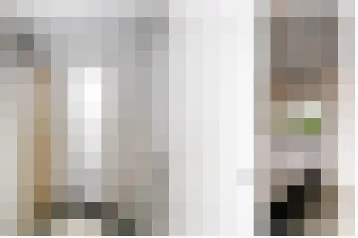 Walstro 23 Venray thumbnail 28