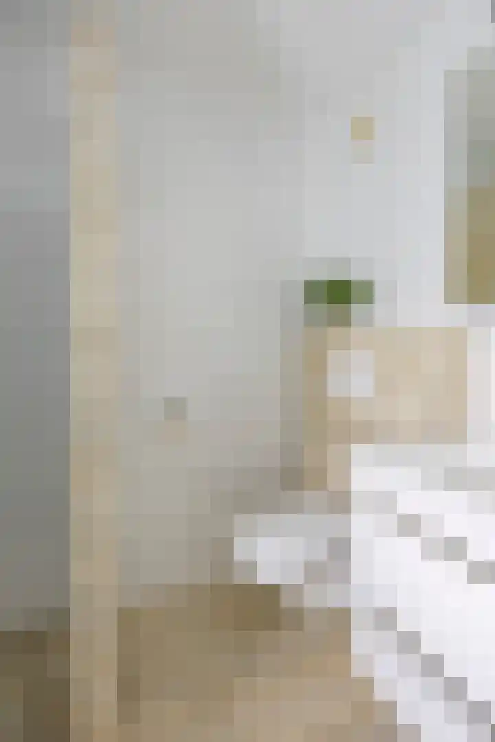 Walstro 23 Venray thumbnail 28