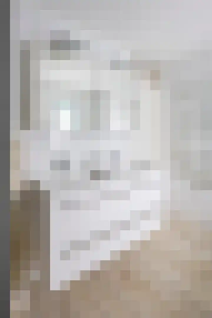 Walstro 23 Venray thumbnail 29