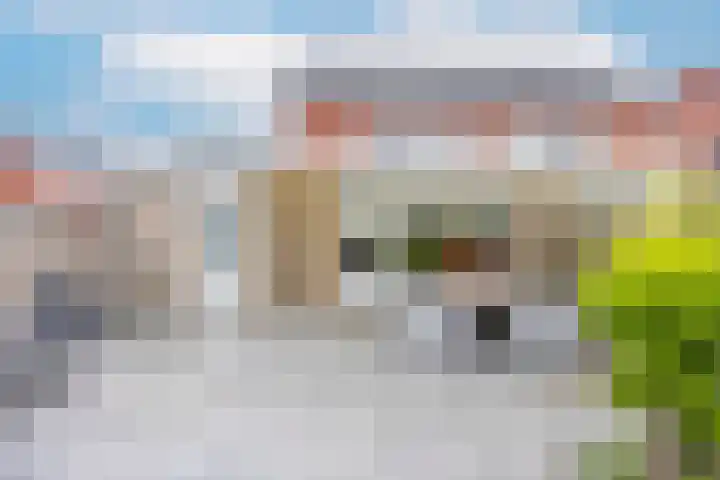 Walstro 23 Venray foto 3