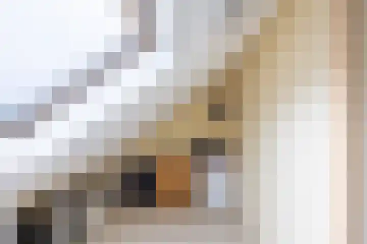 Walstro 23 Venray thumbnail 32