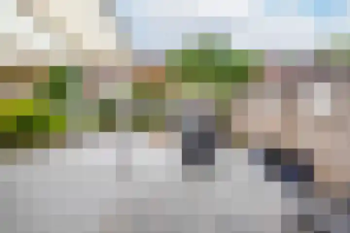 Walstro 23 Venray thumbnail 35