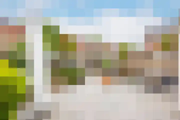 Walstro 23 Venray thumbnail 36