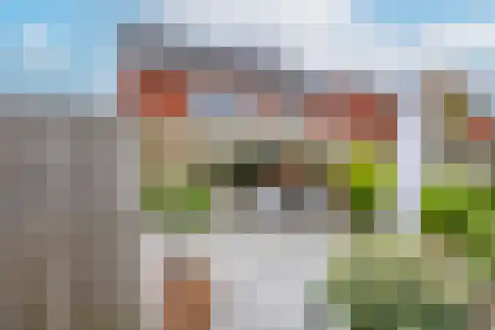 Walstro 23 Venray thumbnail 37