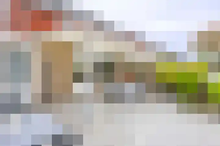 Walstro 23 Venray thumbnail 38