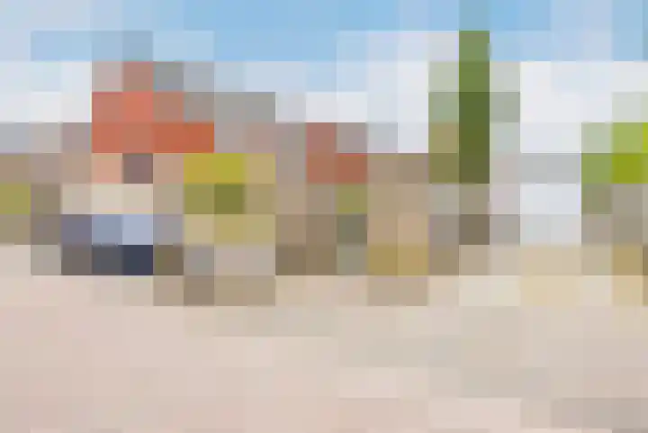 Walstro 23 Venray thumbnail 39