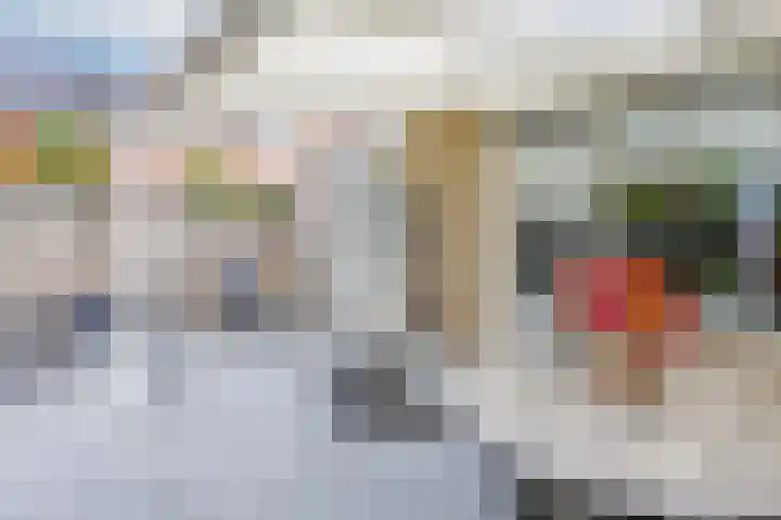 Walstro 23 Venray thumbnail 40