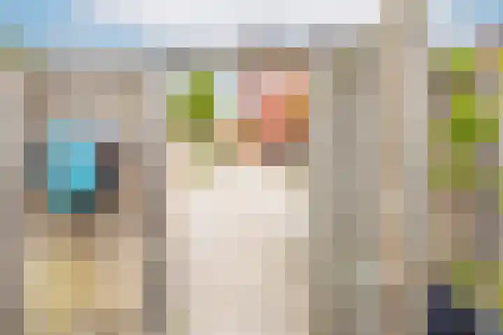 Walstro 23 Venray thumbnail 41