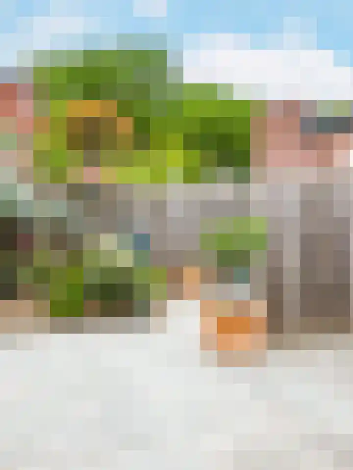 Walstro 23 Venray thumbnail 42