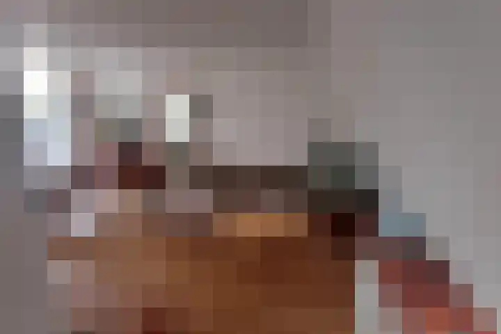 Walstro 23 Venray thumbnail 43