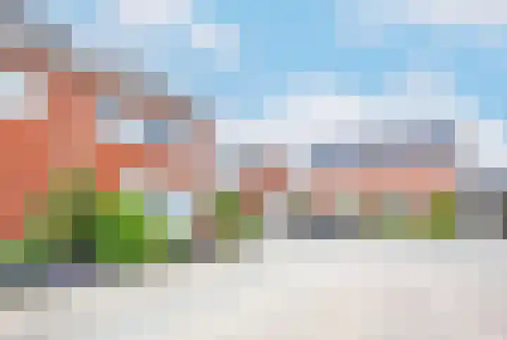 Walstro 23 Venray thumbnail 45