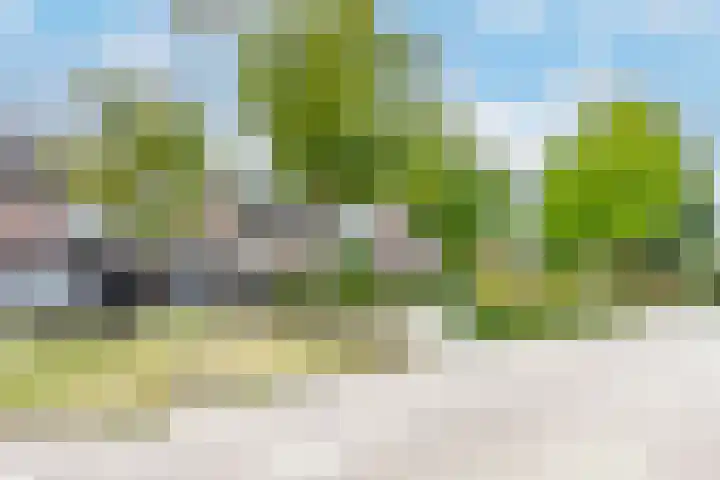 Walstro 23 Venray thumbnail 46