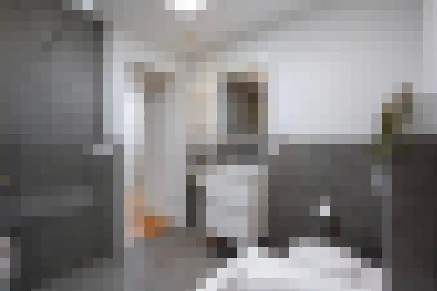 Walstro 23 Venray thumbnail 7